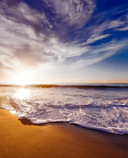 Karibu – Safari e Spiagge da Sogno a Zanzibar